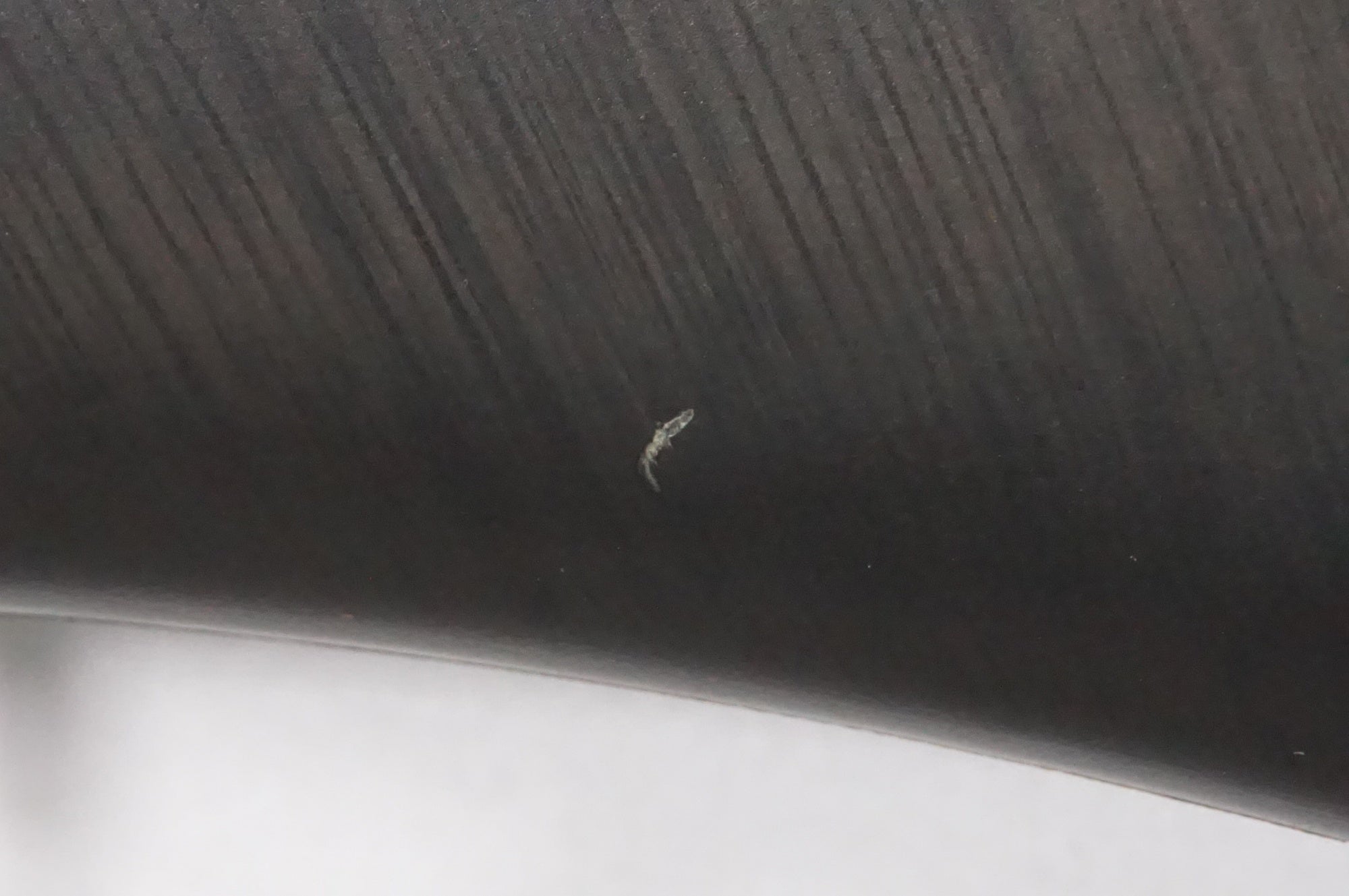 MAVIC 「マヴィック」 COSMIC SLR 65 DISC シマノ11速 ホイールセット / AKIBA店