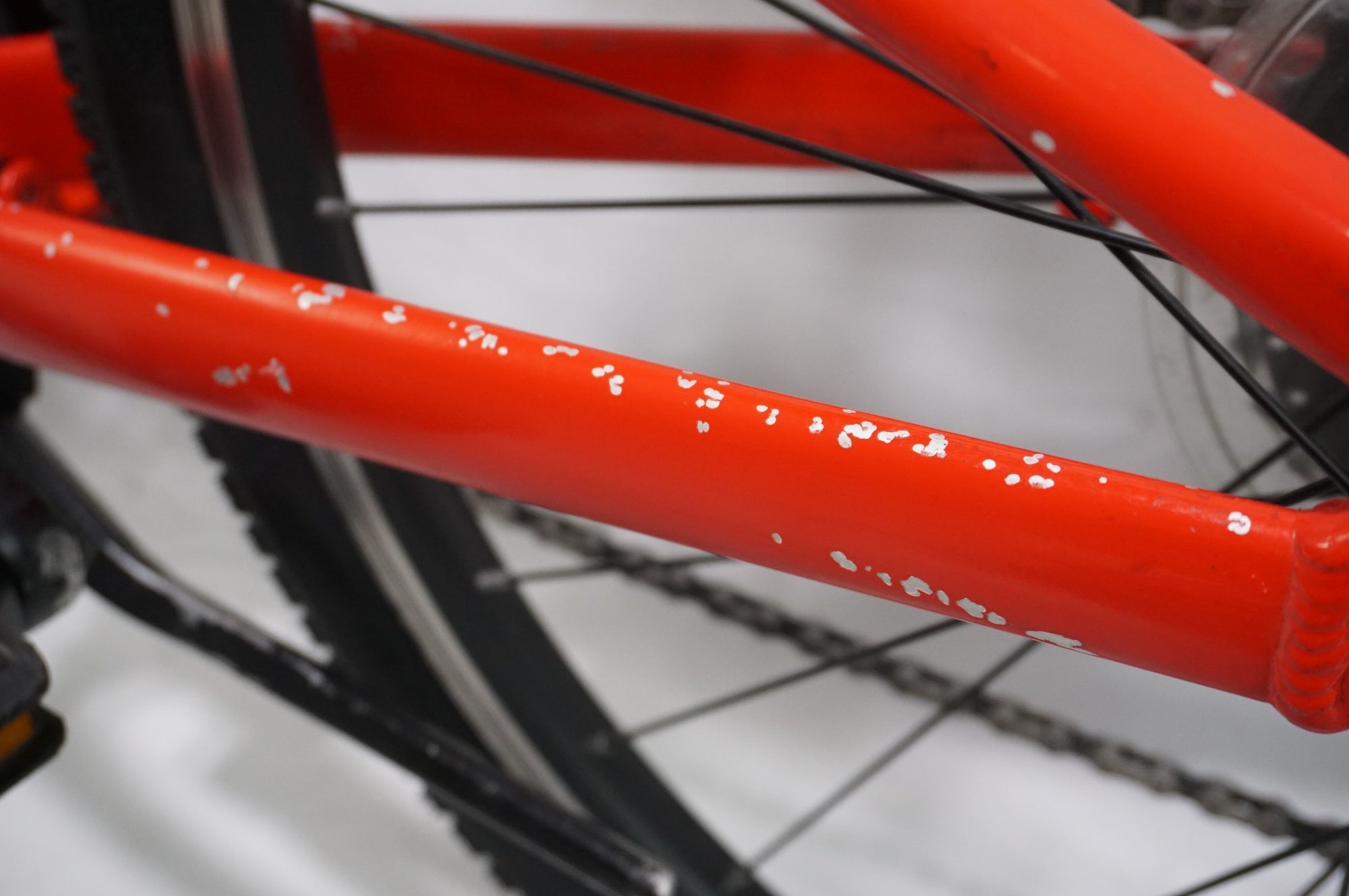 TREK 「トレック」 PRECALIBER 24 2020年モデル 24インチ キッズバイク / 中目黒店