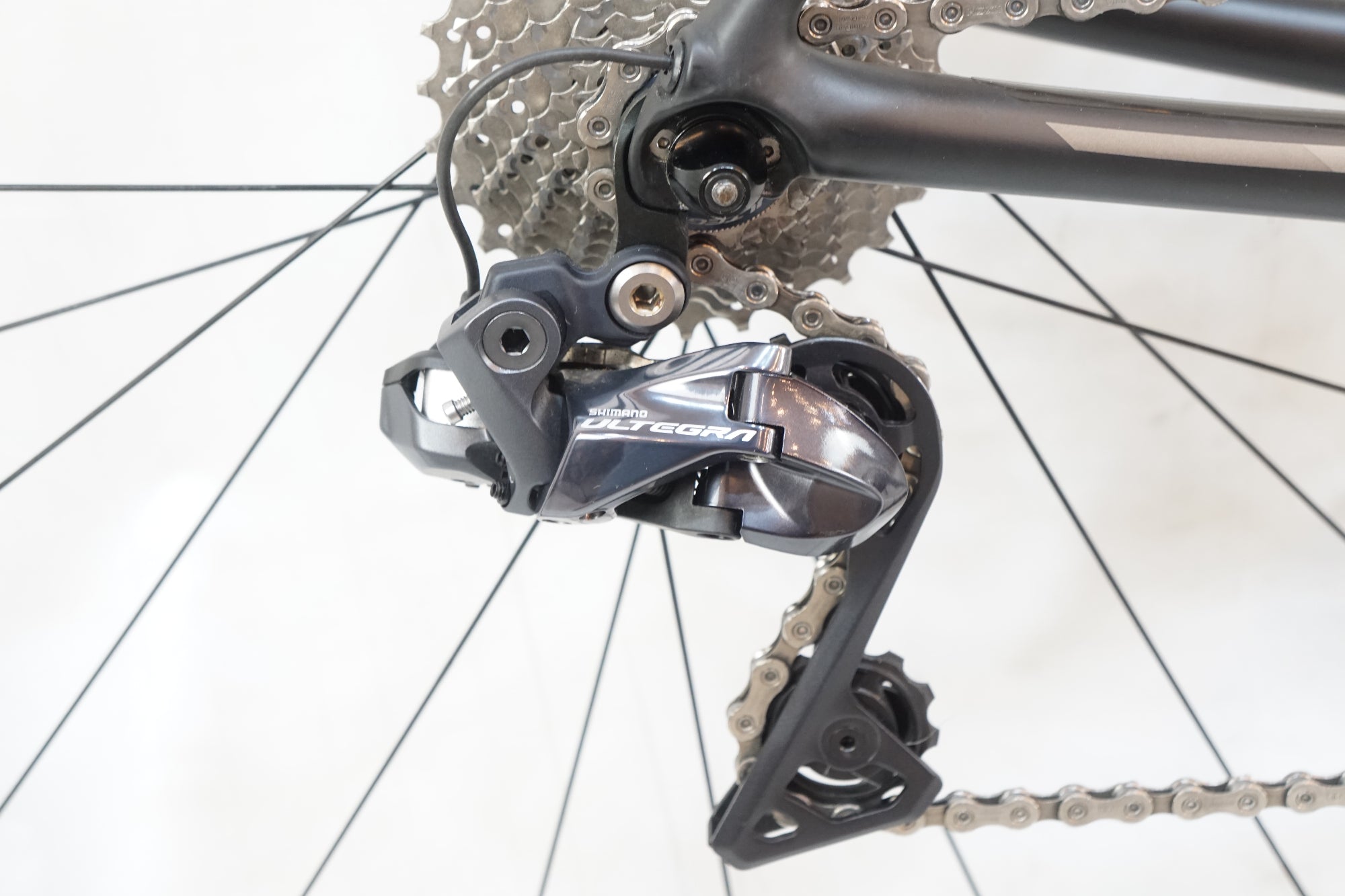 TREK 「トレック」 EMONDA SL 6 2019年モデル ロードバイク / バイチャリ浦和ベース