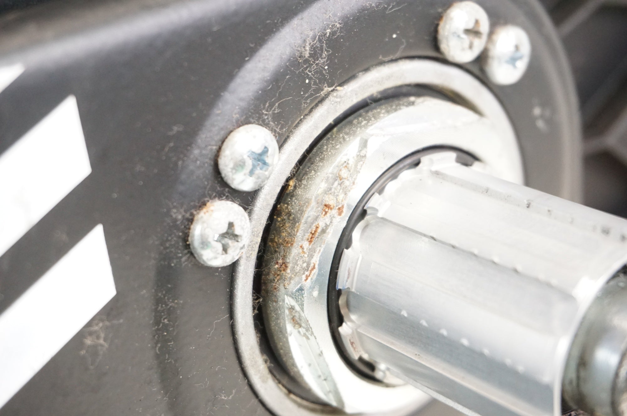 ELITE 「エリート」 SUITO スマートトレーナー / 宇都宮店