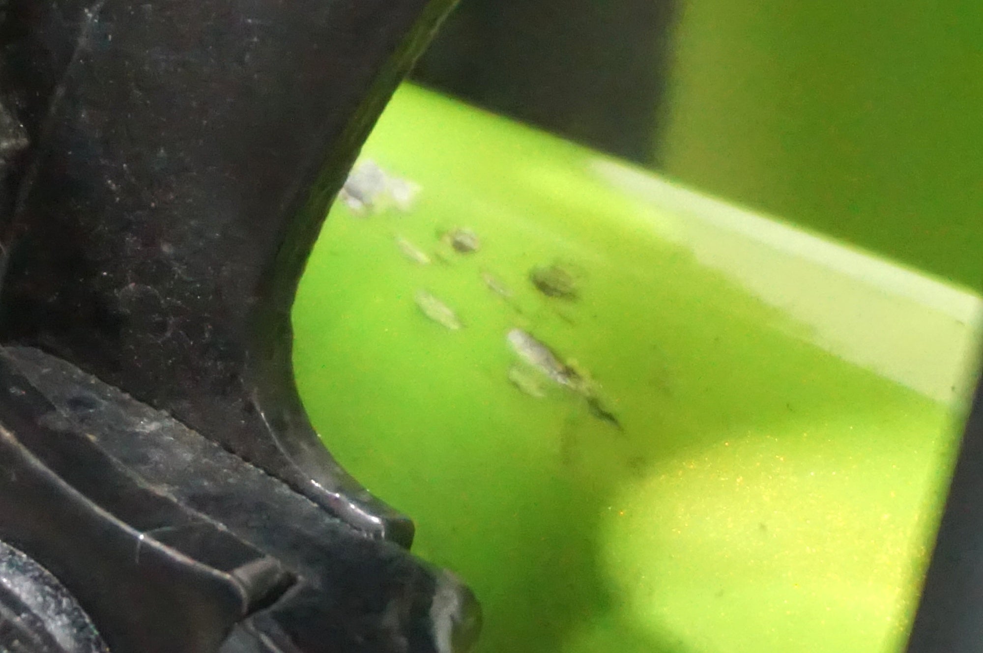 CANNONDALE 「キャノンデール」 CAAD OPTIMO FLAT BAR 1 2017年モデル クロスバイク / AKIBA店