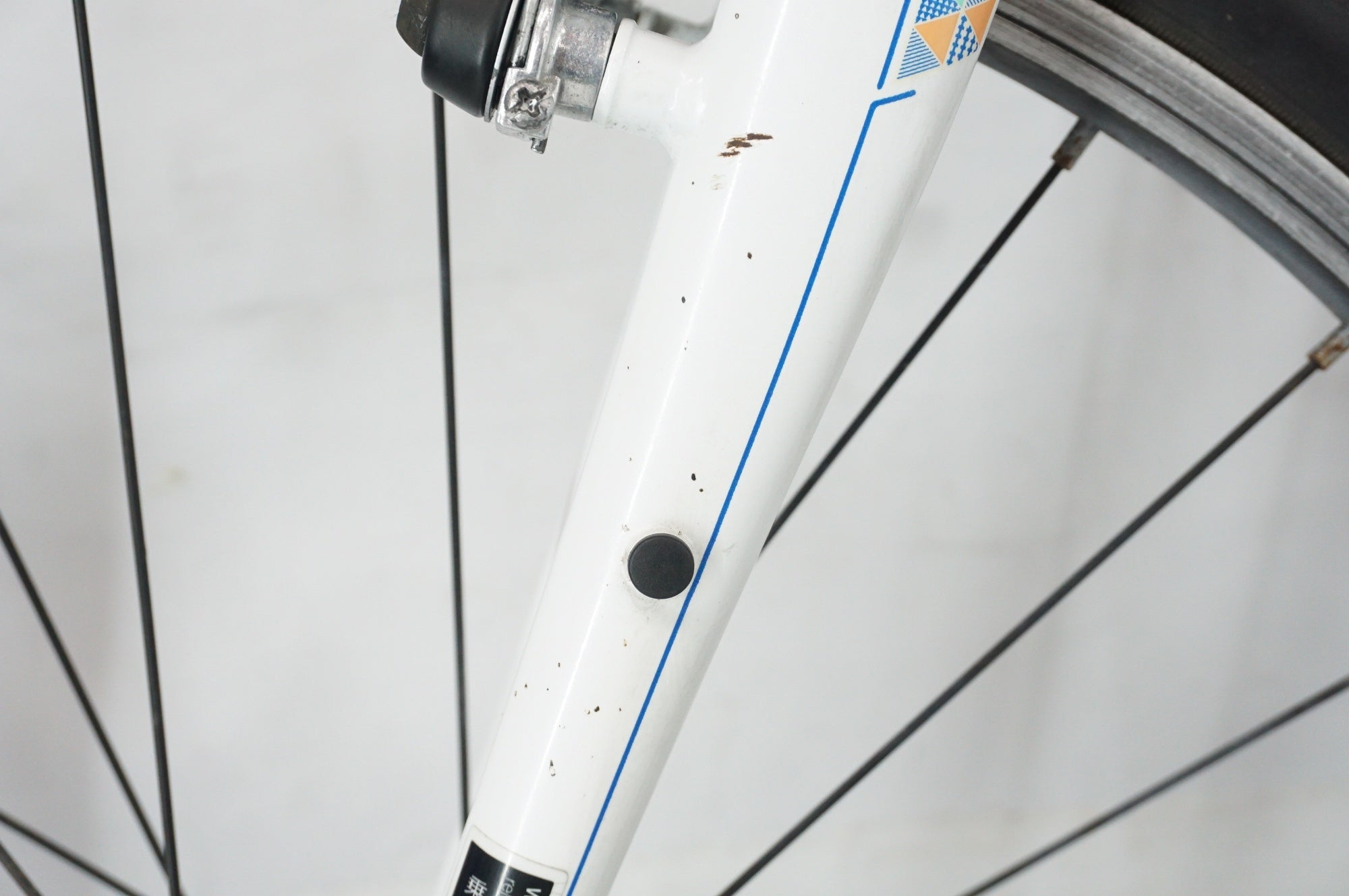 GIANT 「ジャイアント」 LIV ALIGHT24 2020年モデル 24インチ キッズバイク / 阪急塚口店