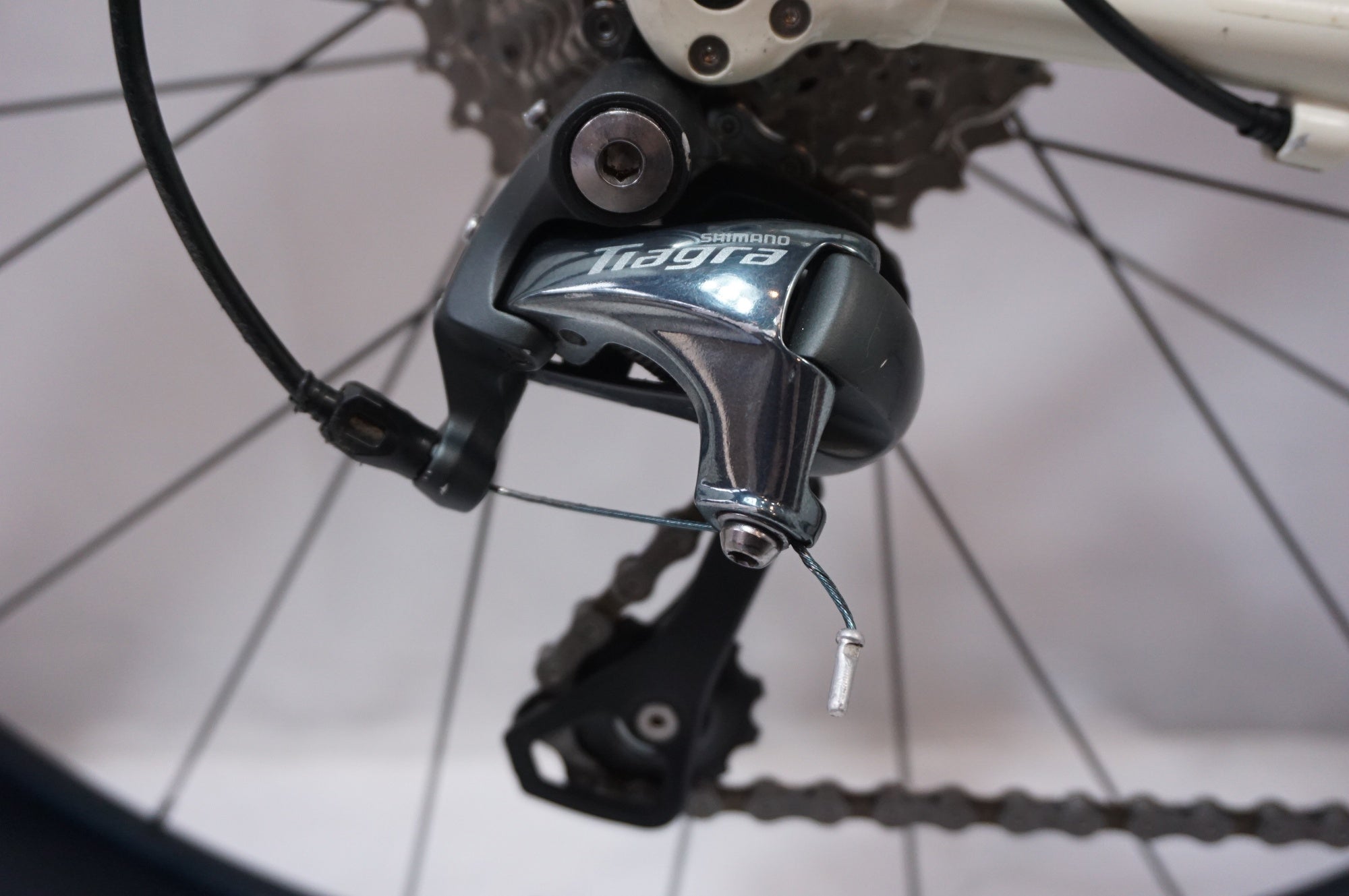 TREK 「トレック」 DOMANE AL 4 2021-2022年モデル ロードバイク / 世田谷店