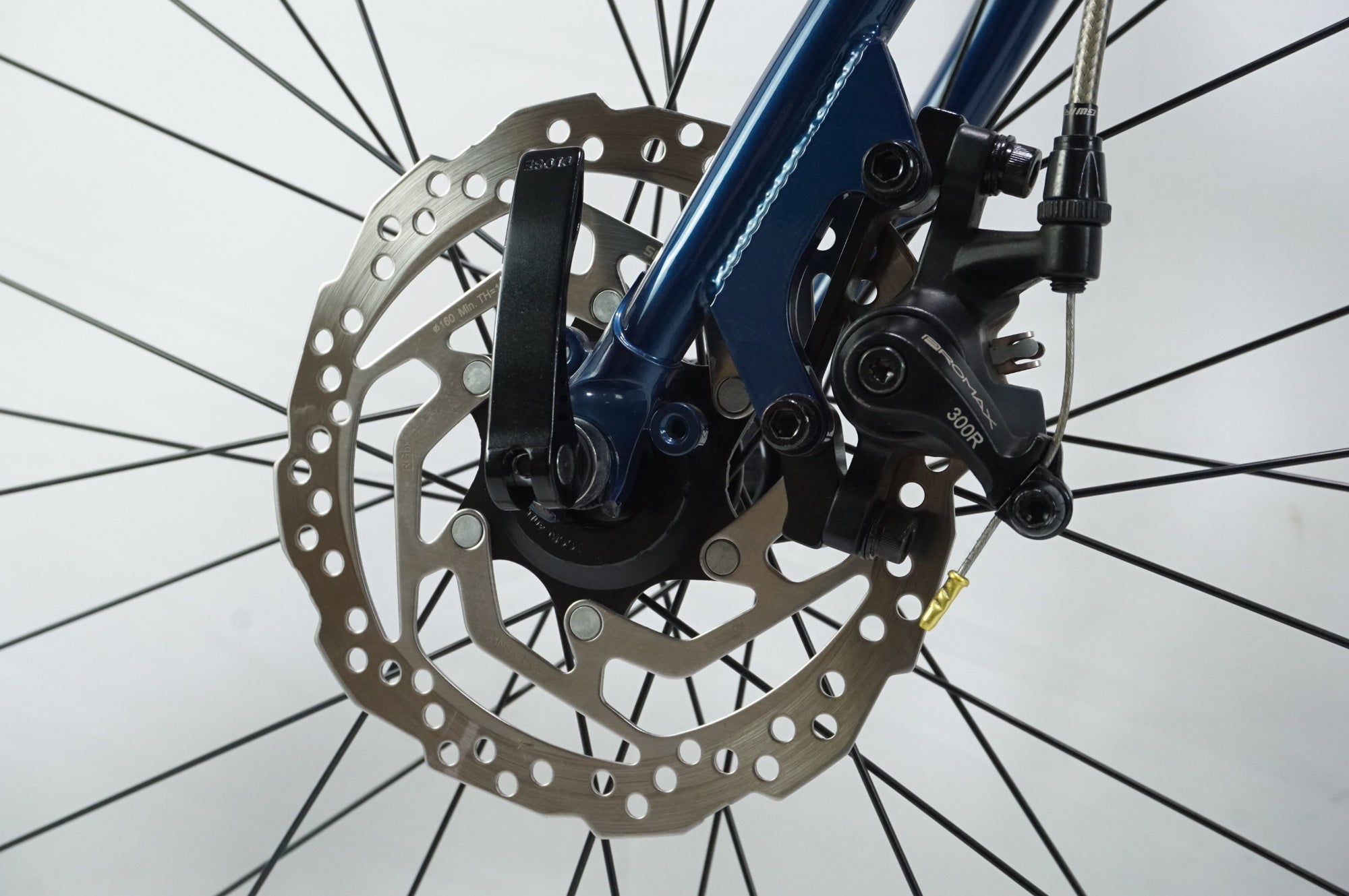 Masi Catalina Flat Bar 2020年 1×9 当店とっておきが入荷しました！「MASI Catalina Flat Bar