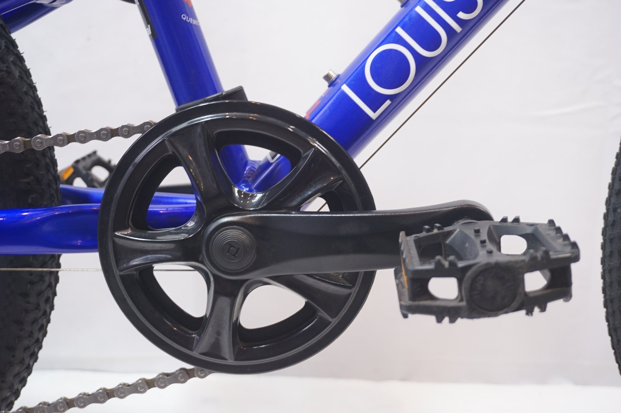 LOUIS GARNEAU 「ルイガノ」 LGS-J20 2022年モデル キッズバイク 