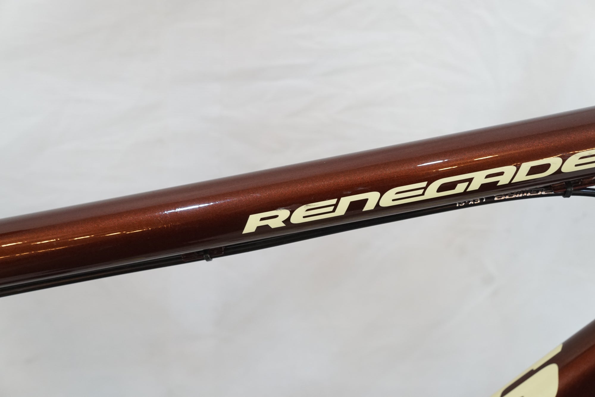 JAMIS 「ジェイミス」 RENEGADE 2020年モデル グラベルロードバイク / バイチャリ浦和ベース
