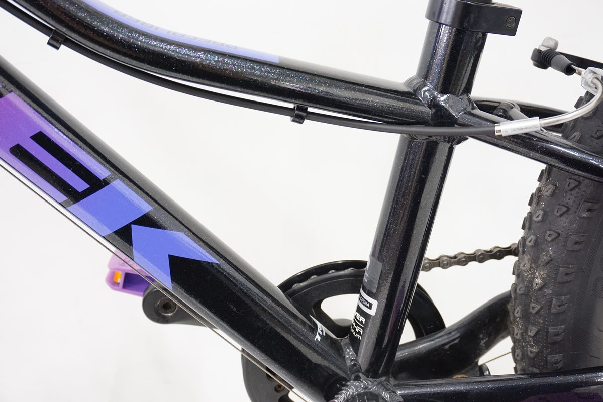 TREK「トレック」 PRECALIBER 20 20インチ 2020年モデル キッズバイク / 浜松店