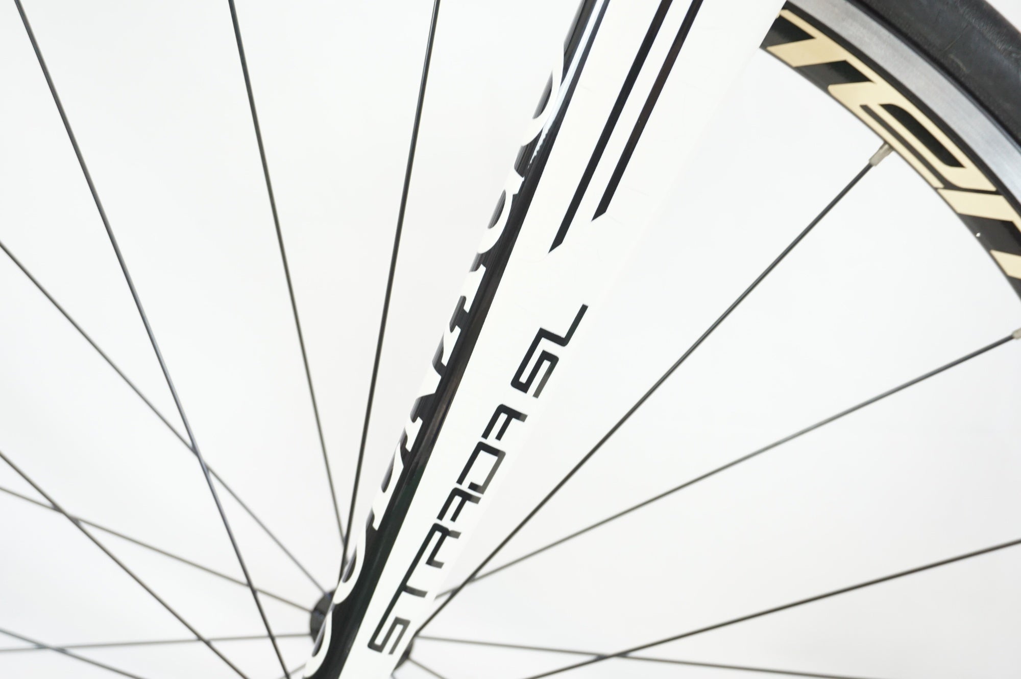 COLNAGO 「コルナゴ」 STRADA SL 105 2014年モデル ロードバイク