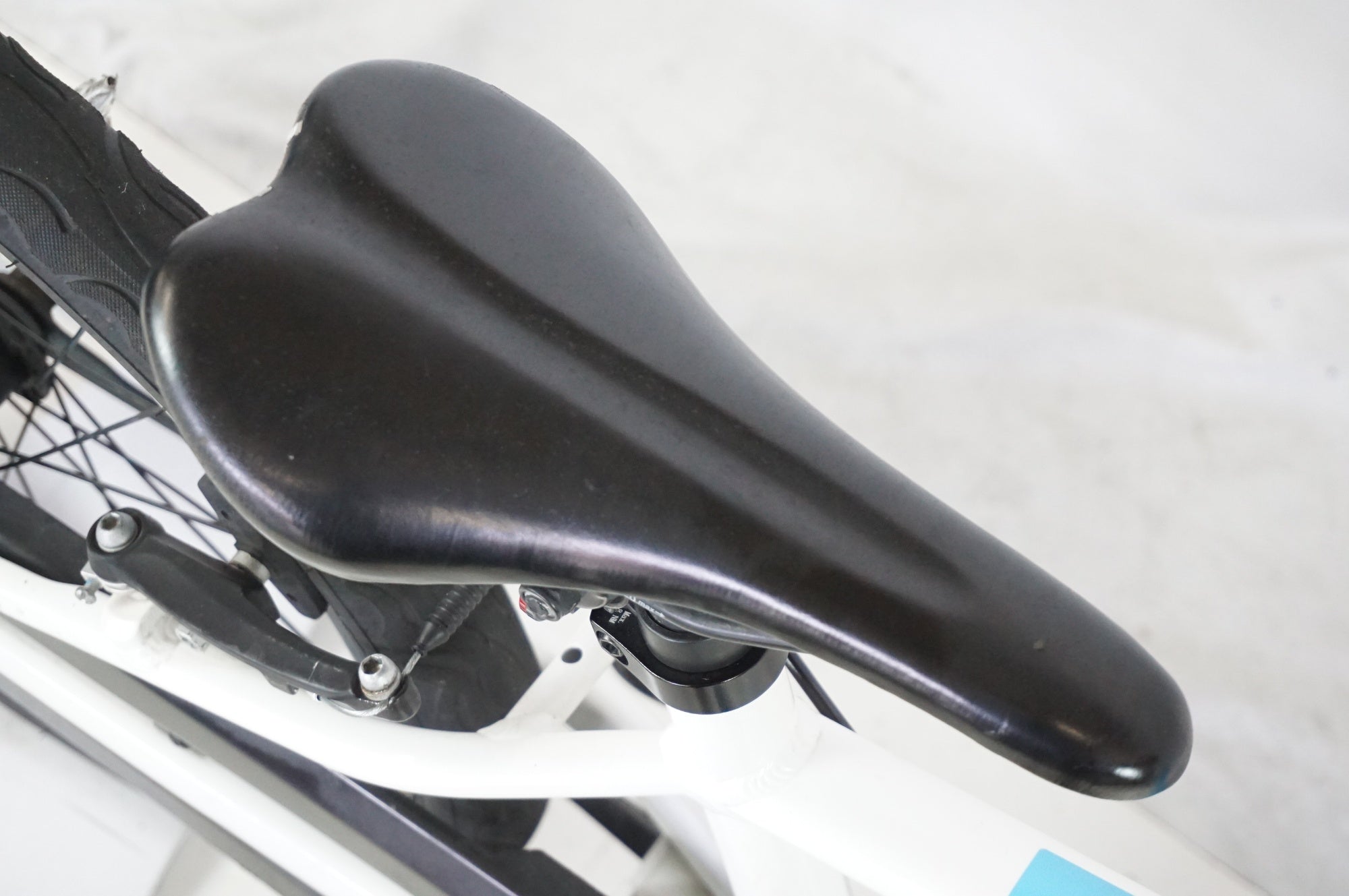 TREK 「トレック」 PRECALIBER 20 2020-2022年モデル キッズバイク