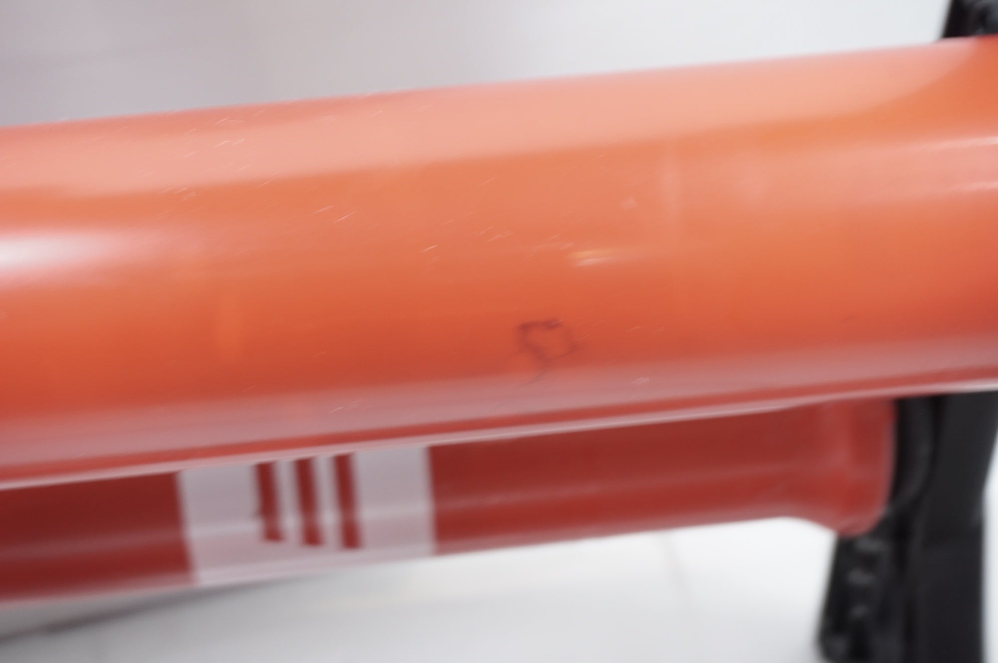 ELITE 「エリート」 ARION MAG 固定ローラー / 世田谷店