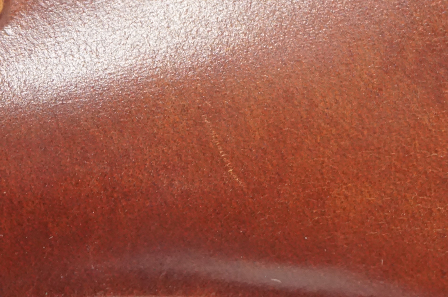 BROOKS 「ブルックス」 FLYER SPECIAL サドル / AKIBA店