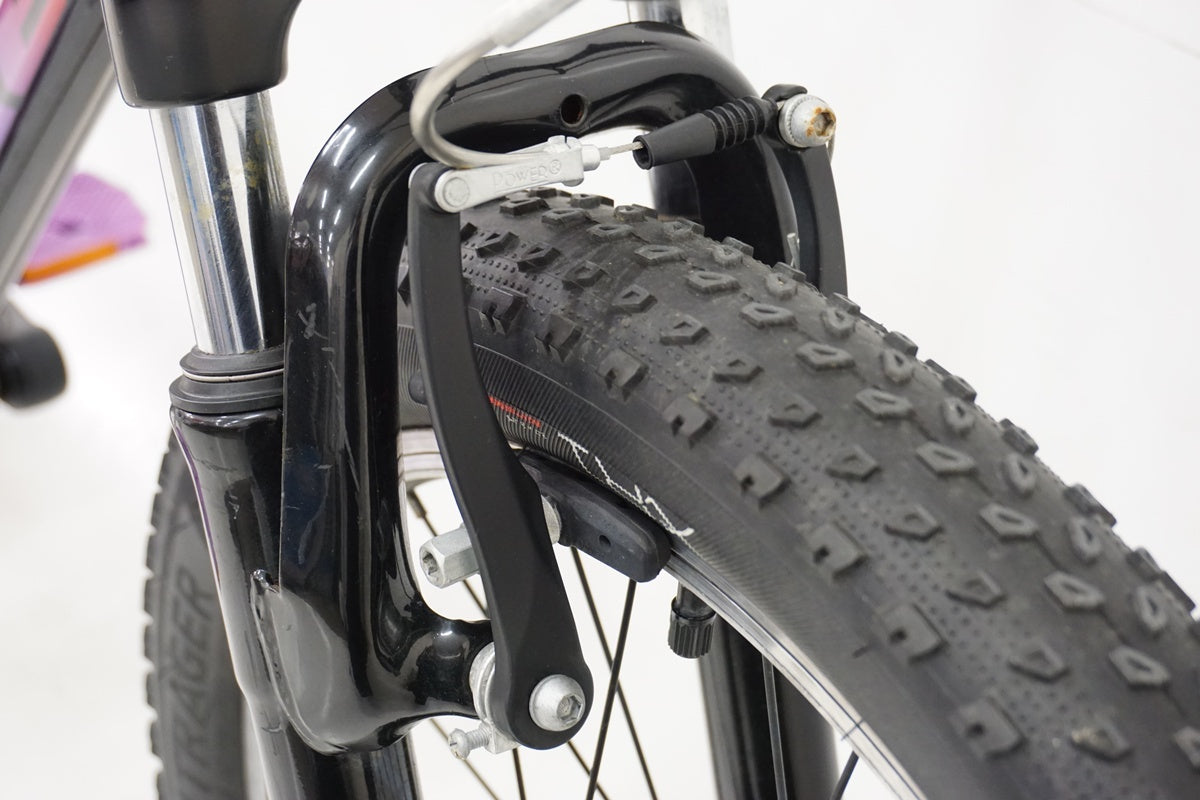 TREK「トレック」 PRECALIBER 20 20インチ 2020年モデル キッズバイク