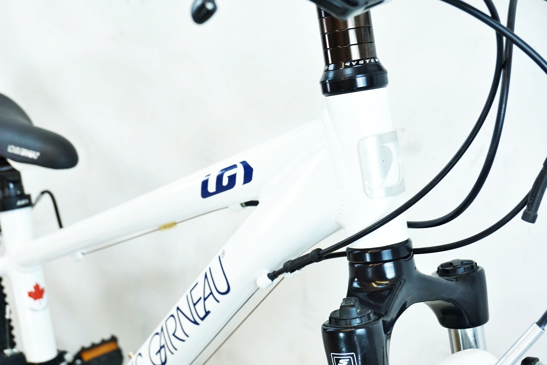 LOUIS GARNEAU 「ルイガノ」 LGS-J24 2020年モデル キッズバイク