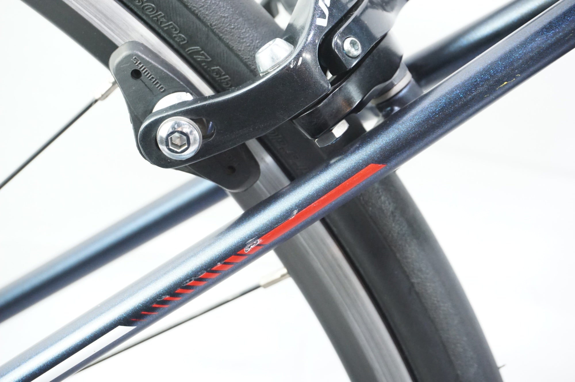 COLNAGO 「コルナゴ」 VORREI SORA 2019年モデル クロスバイク / 中目黒店