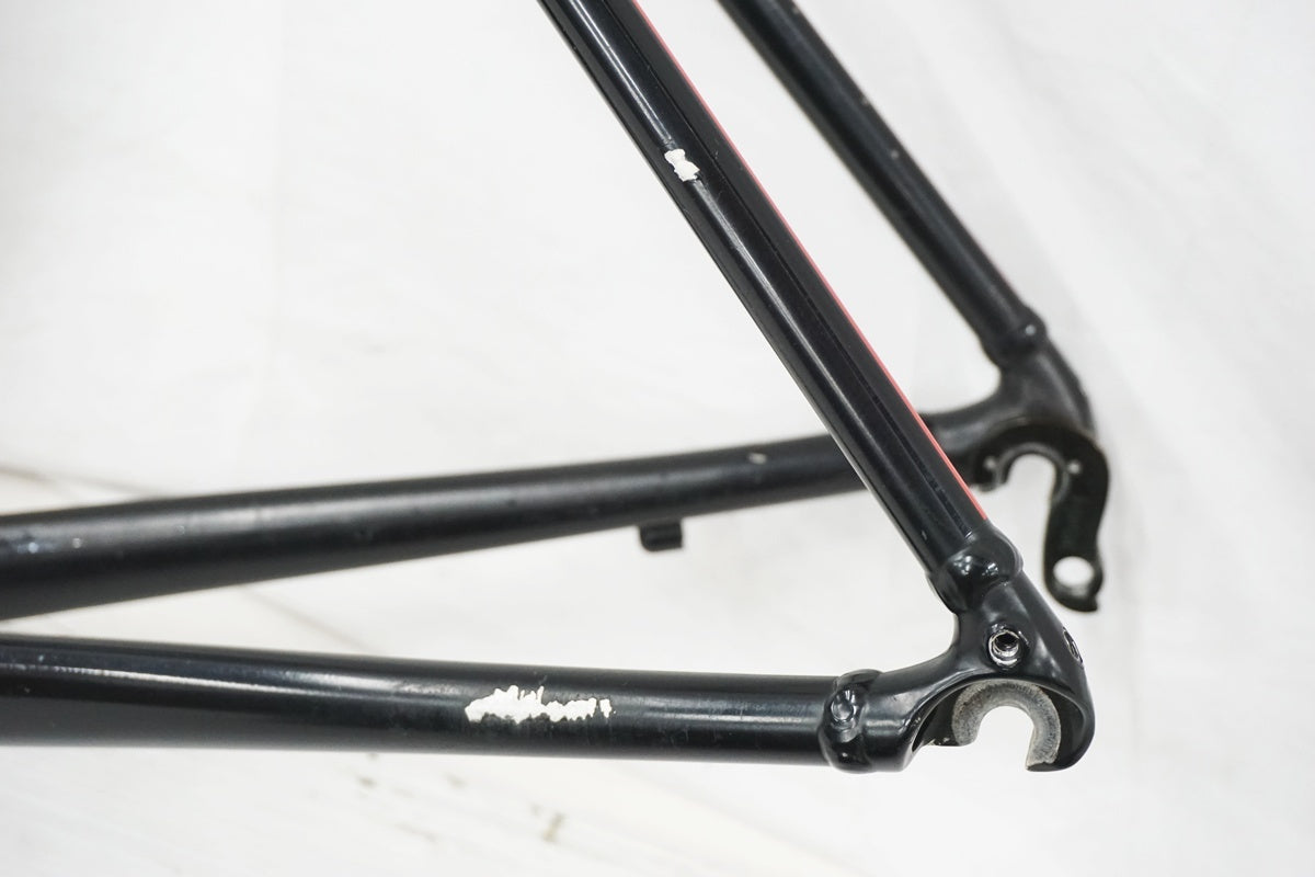 TREK 「トレック」 DOMMANE AL2 2019年モデル フレームセット / 奈良店
