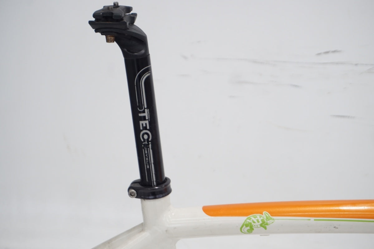 BIANCHI 「ビアンキ」 CAMELEONTE SPORT DUE 2013年モデル フレーム