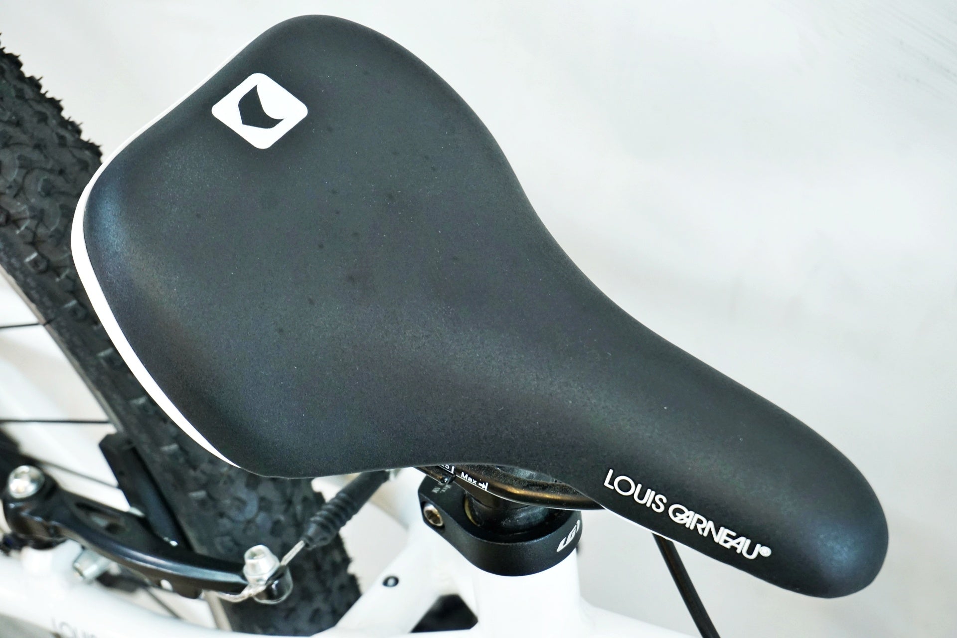 LOUIS GARNEAU 「ルイガノ」 LGS-J24 2020年モデル キッズバイク