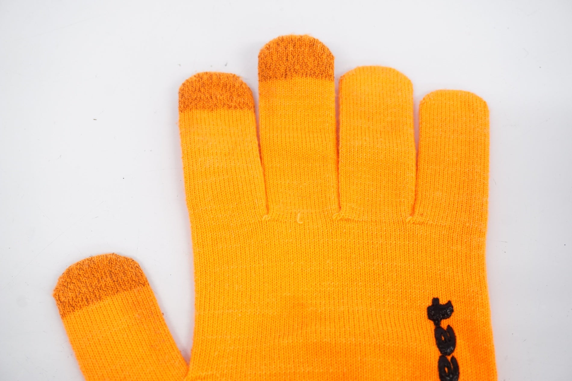 DEFEET 「ディフィート」 グローブ / 浜松店