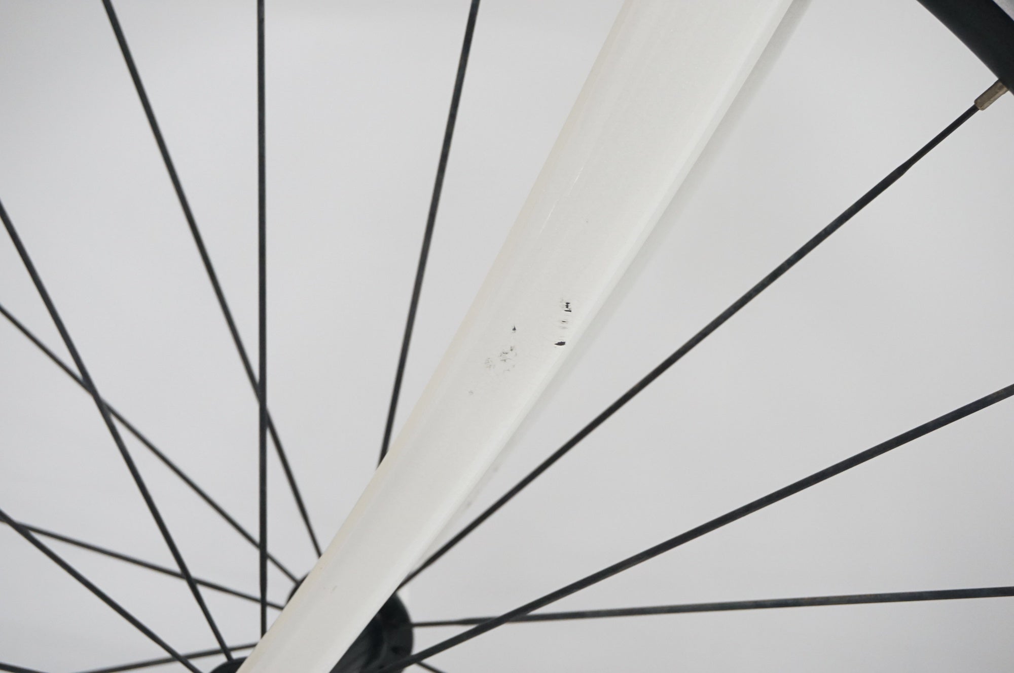 TREK 「トレック」 DOMANE AL3 WSD 2019年モデル ロードバイク / 福岡店