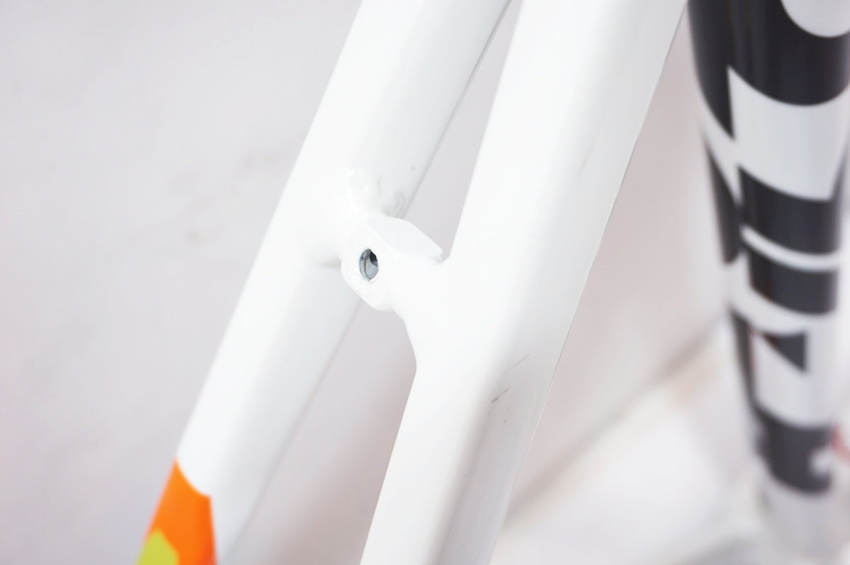 CINELLI 「チネリ」 VIGORELLI ALU 2020年モデル フレームセット