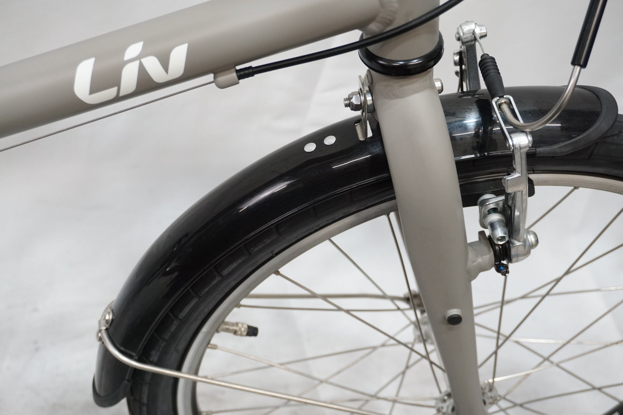 GIANT 「ジャイアント」 LIV AMICA 2021年モデル 20インチ ミニベロ