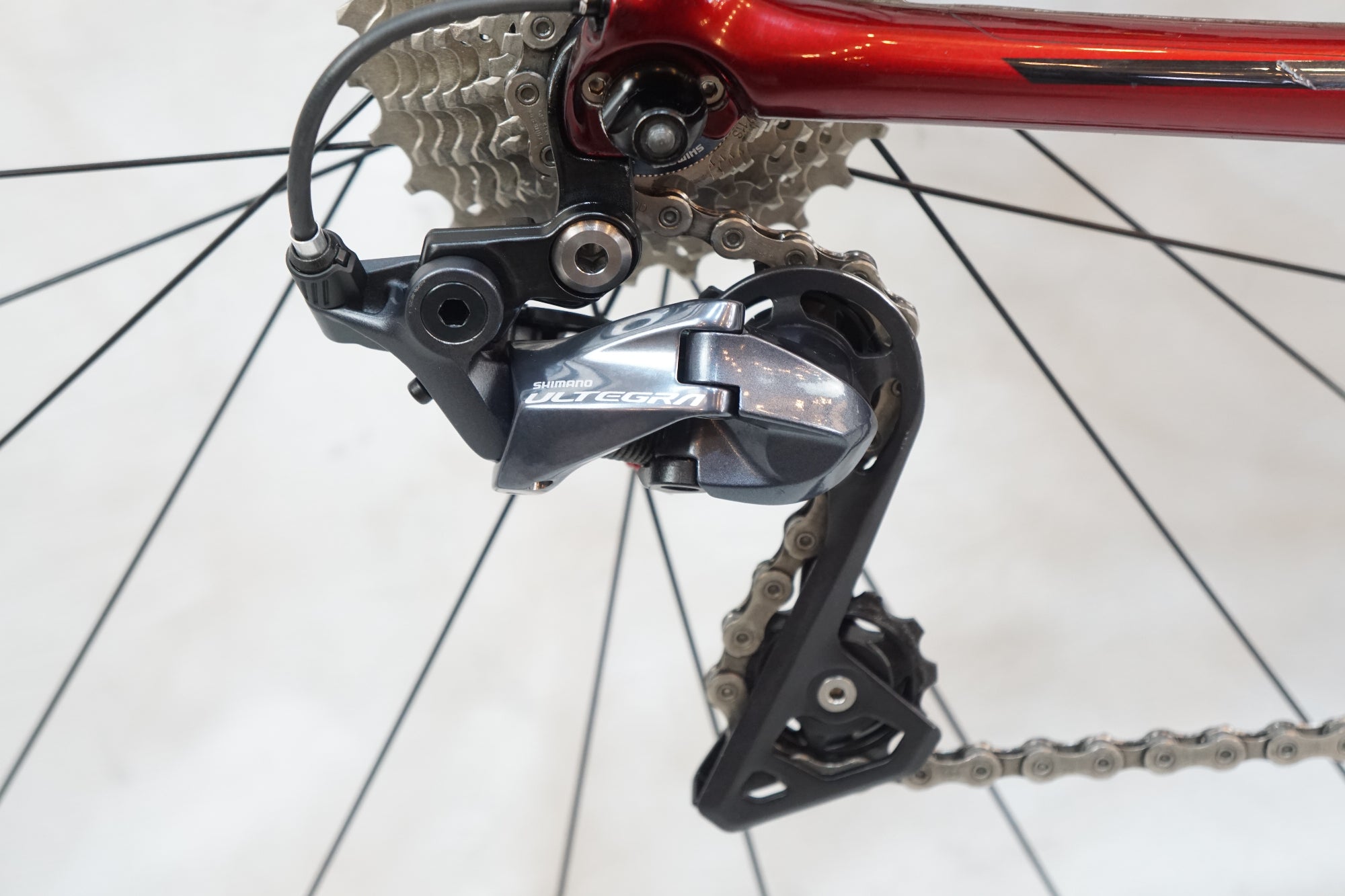 TREK 「トレック」 EMONDA SL 6 2019年モデル ロードバイク / バイチャリ浦和ベース