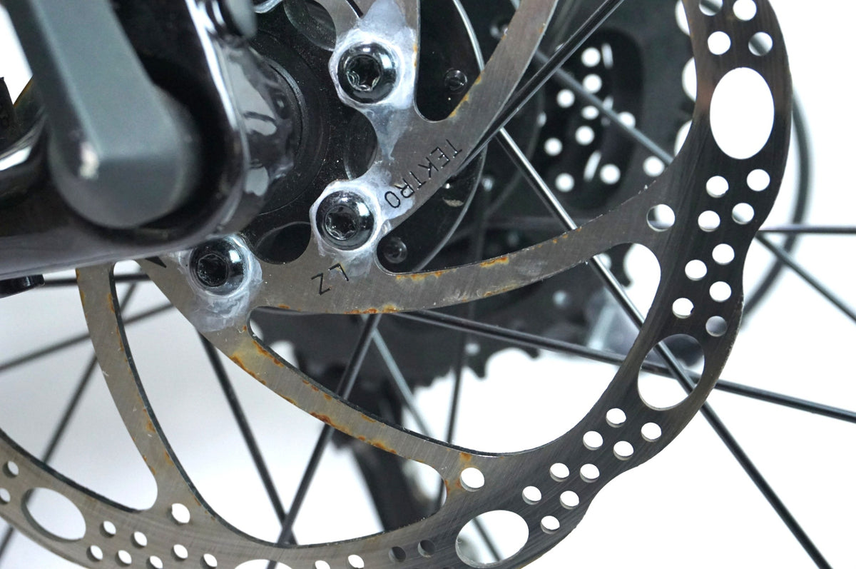 TREK 「トレック」 DOMANE AL 2 GEN 4 2025年モデル ロードバイク / 有明ガーデン店