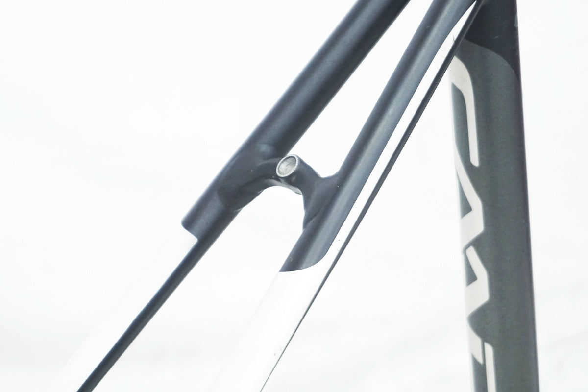 CANNONDALE 「キャノンデール」 CAAD10 2015年モデル フレームセット