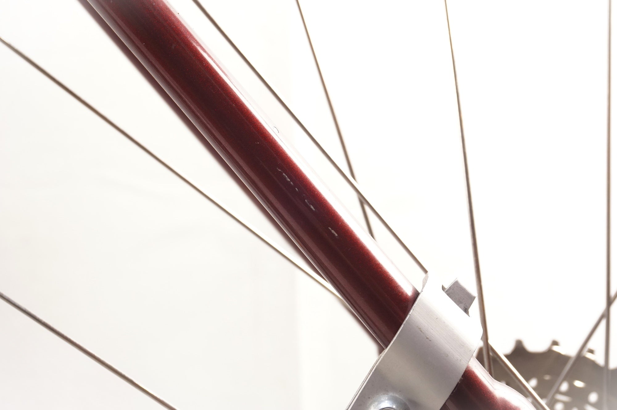 COLNAGO 「コルナゴ」 BISCOTTI 2015年モデル クロスバイク / 中目黒店