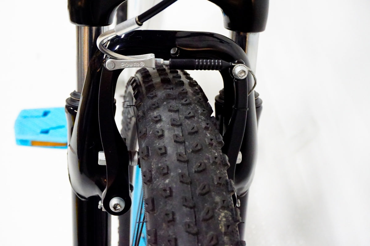 TREK 「トレック」 PRECALIBER GIRLS 20インチ 2020-2022年モデル キッズバイク / 名古屋大須店
