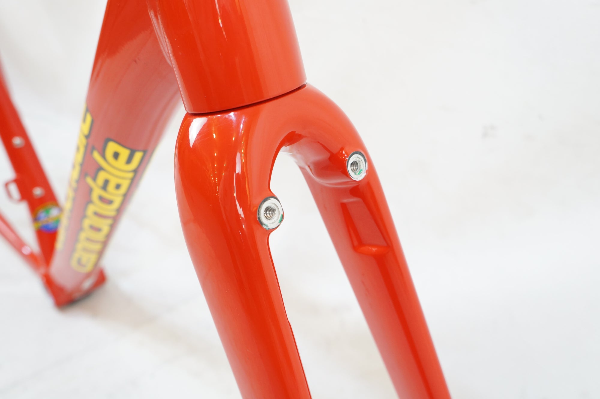 CANNONDALE 「キャノンデール」 CAAD13 2022年モデル フレームセット / バイチャリ浦和ベース