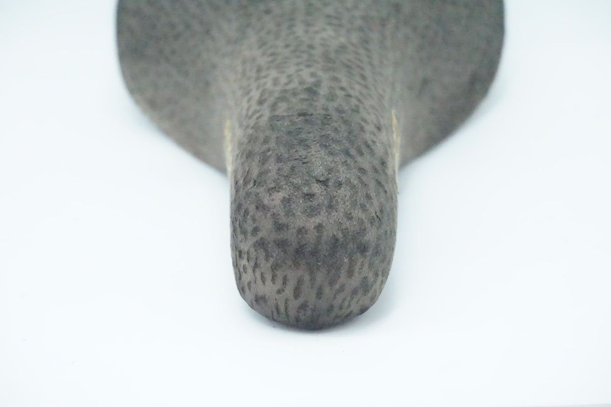 AVOCET「アボセット」 RACING サドル/ 京都西院店