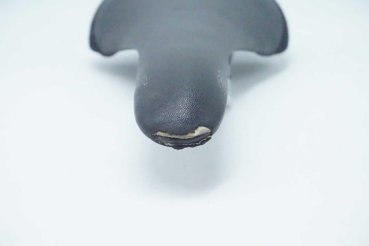 GIANT「ジャイアント」 サドル/ 京都西院店