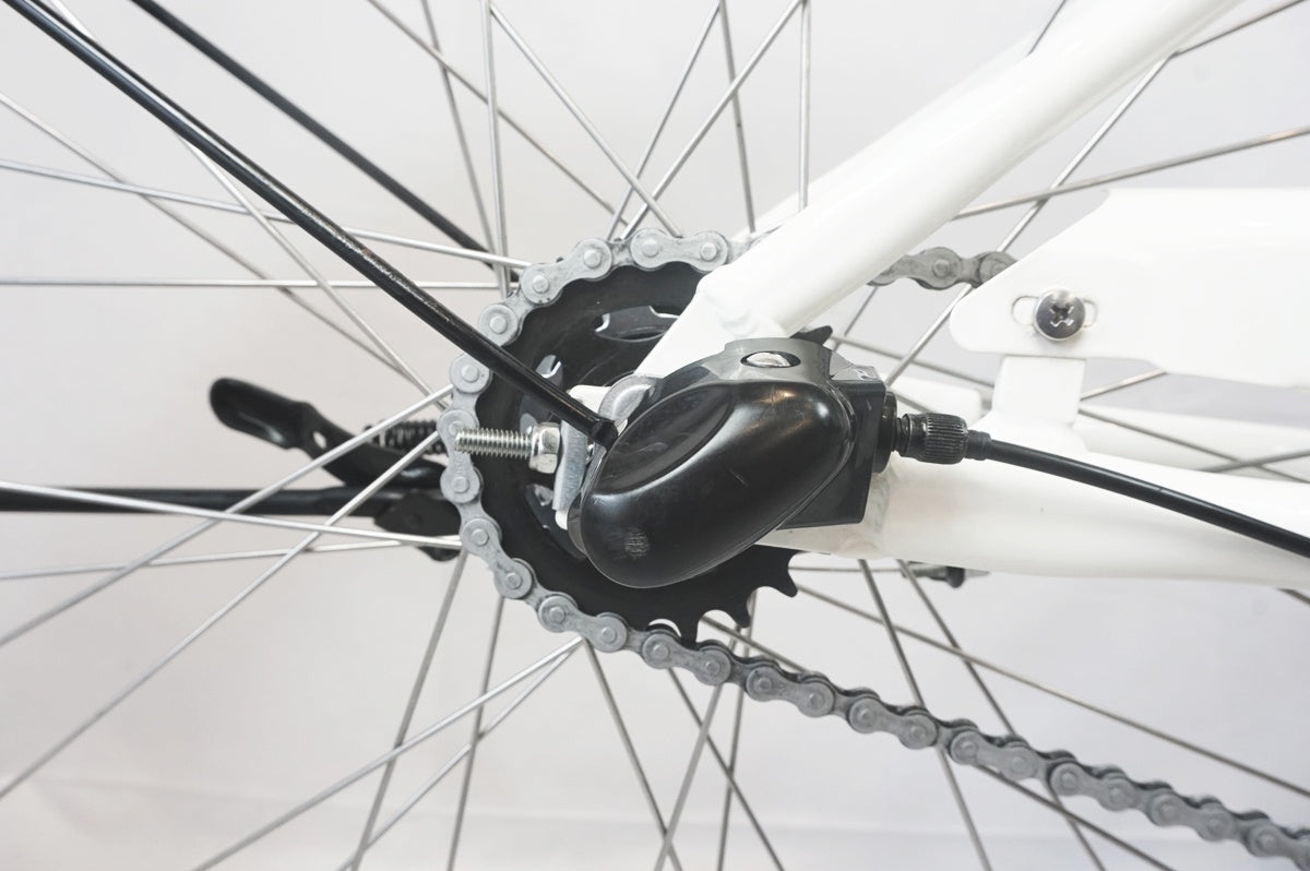 LOUIS GARNEAU 「ルイガノ」 ASCENT CITY 2020年モデル 電動アシスト自転車 / 世田谷店