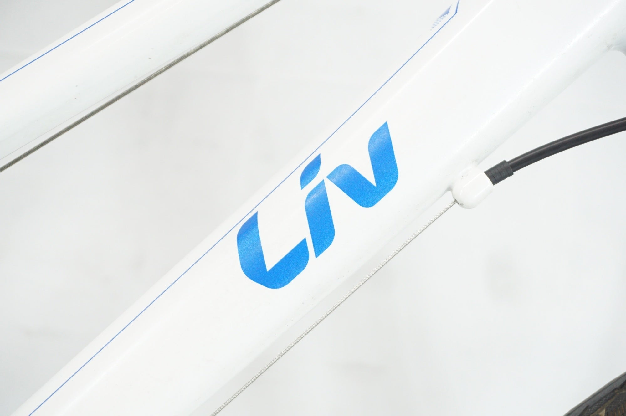 GIANT 「ジャイアント」 LIV ALIGHT24 2020年モデル 24インチ キッズバイク / 阪急塚口店