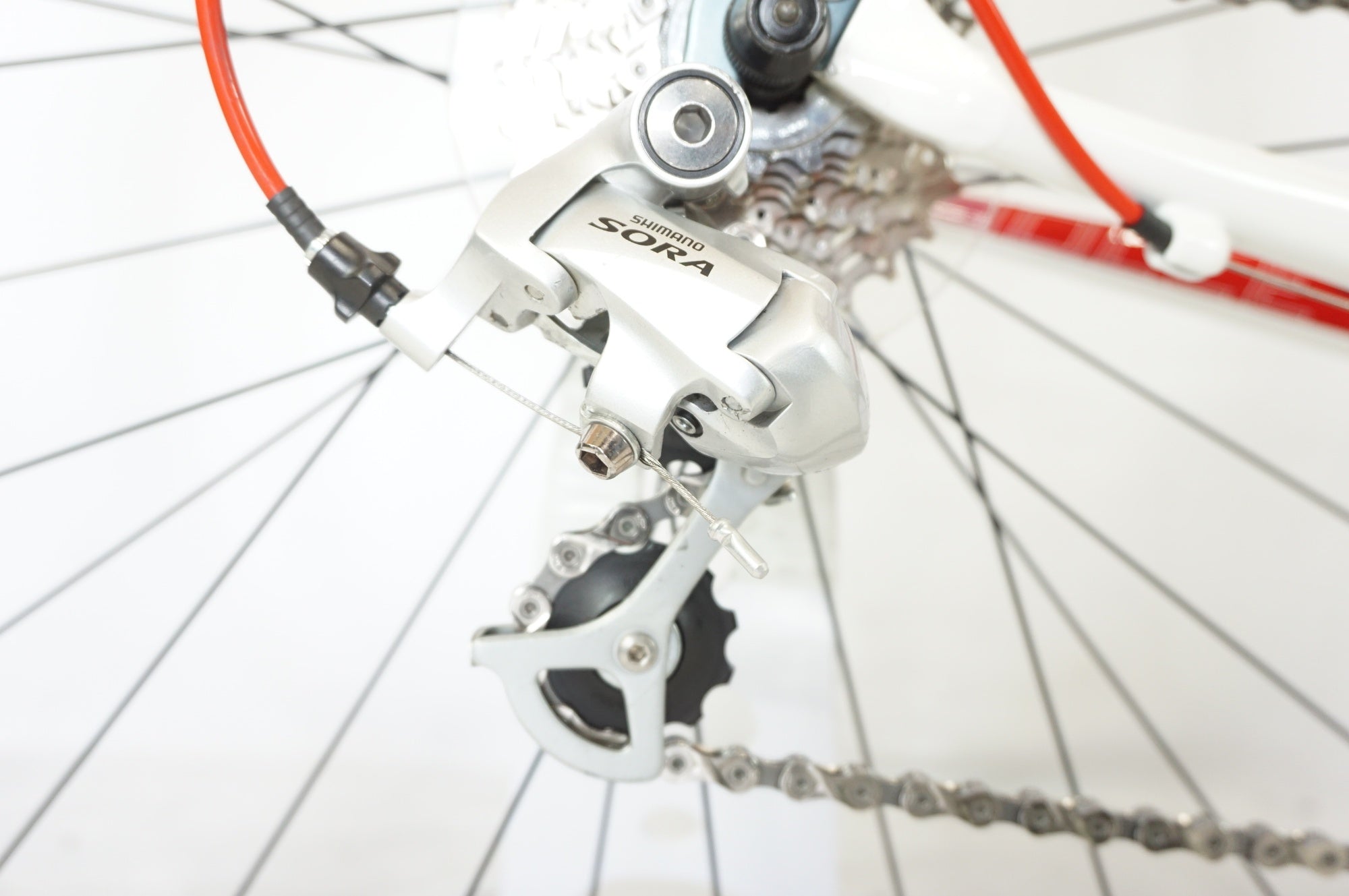 SPECIALIZED 「スペシャライズド」 DOLCE SPORT 2012年モデル ロードバイク / 宇都宮店