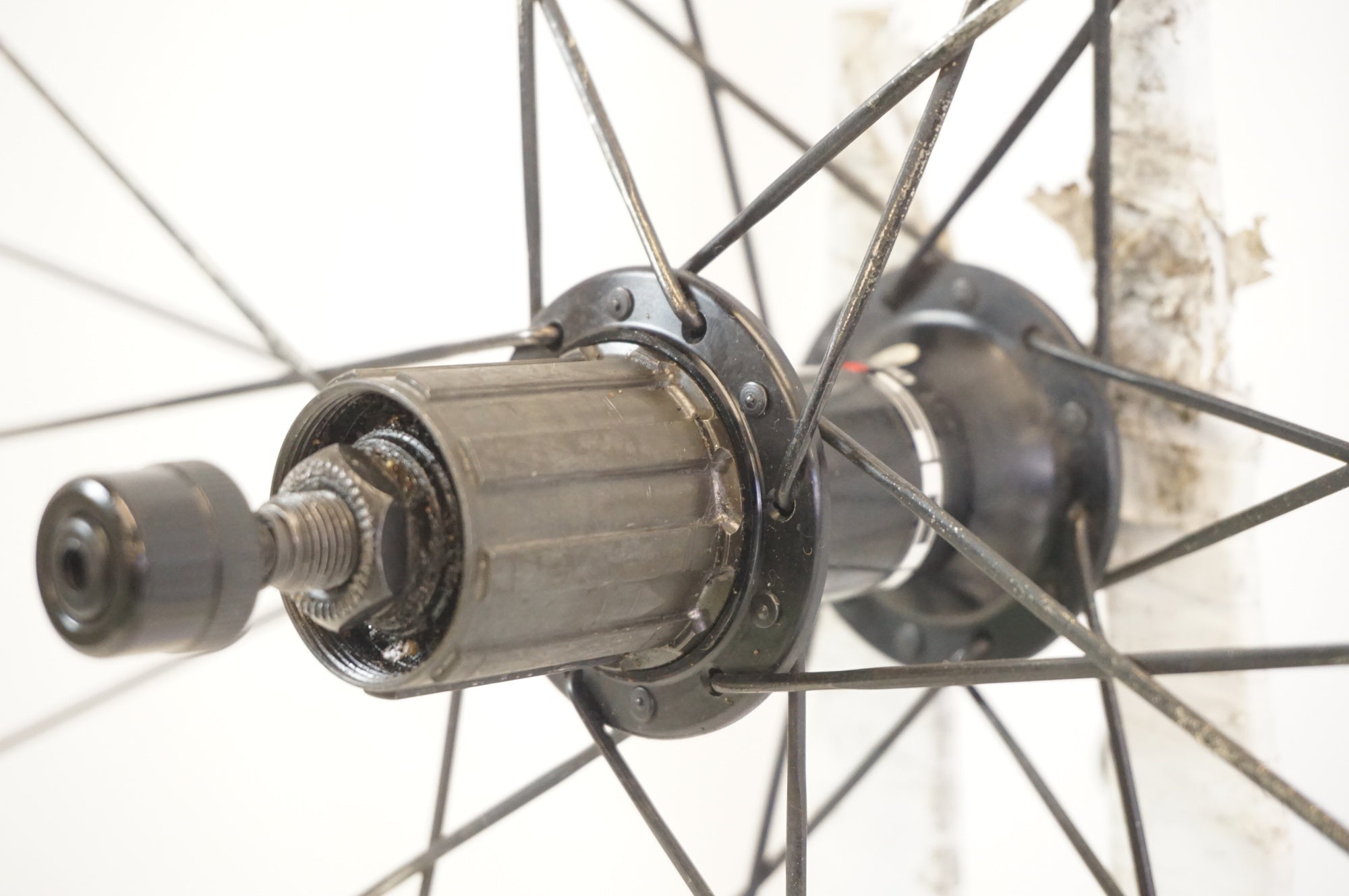 SHIMANO 「シマノ」 WH-R501 シマノ8-10速 ホイールセット