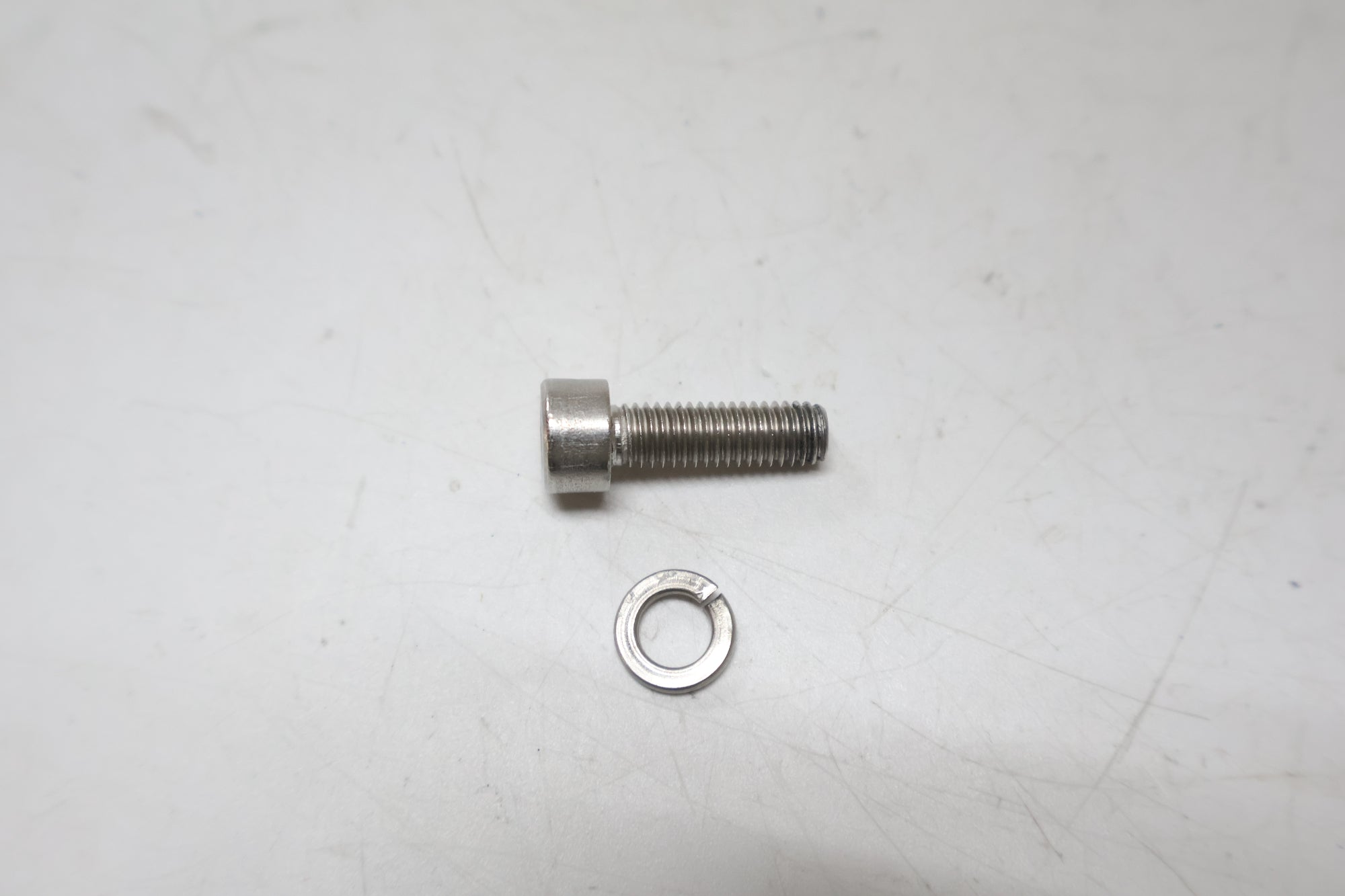 PAUL 「ポール」 GINO ライトマウント / 高知店