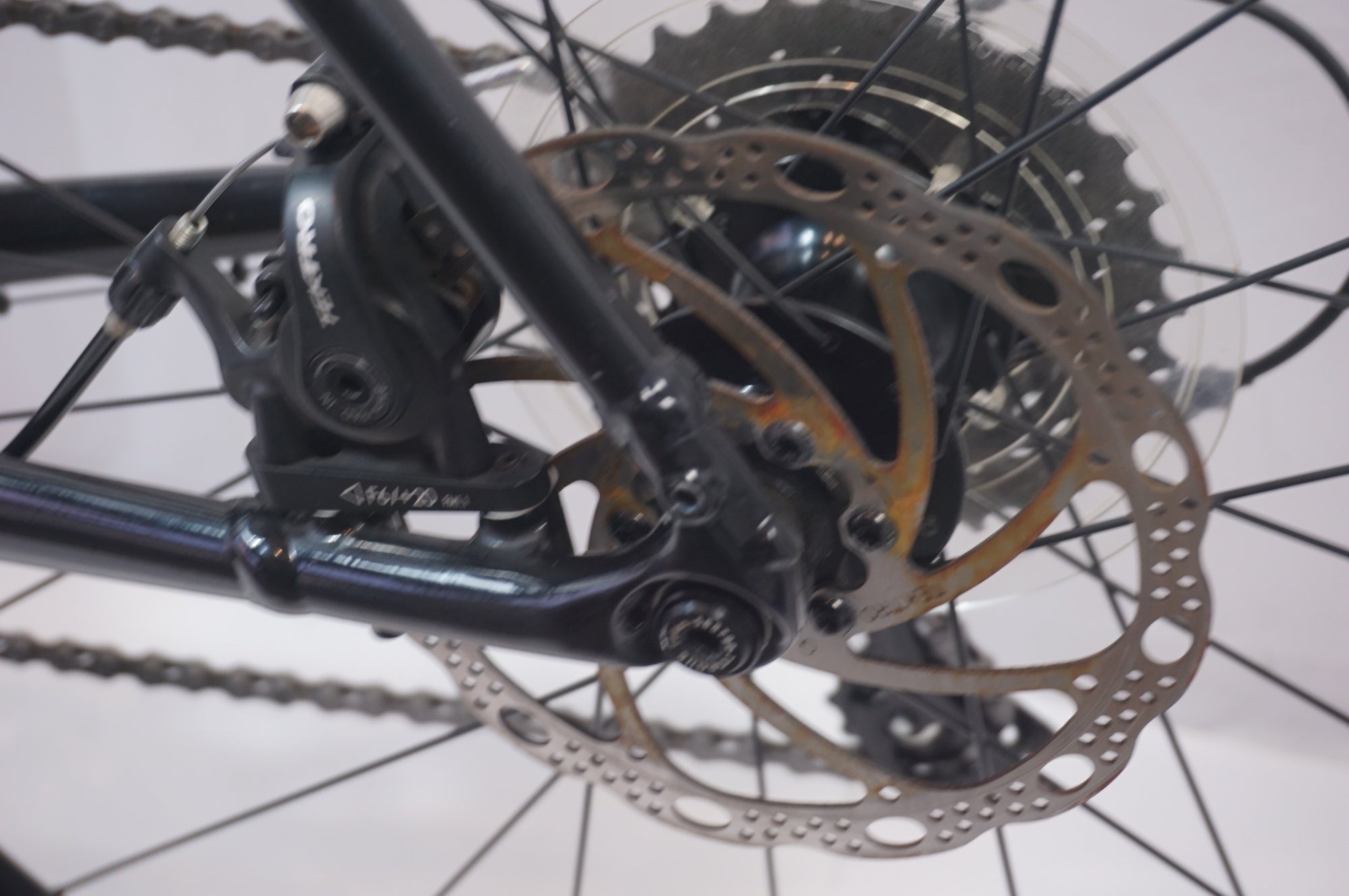 TREK 「トレック」 DOMANE AL 2 GEN 3 2023年モデル ロードバイク 
