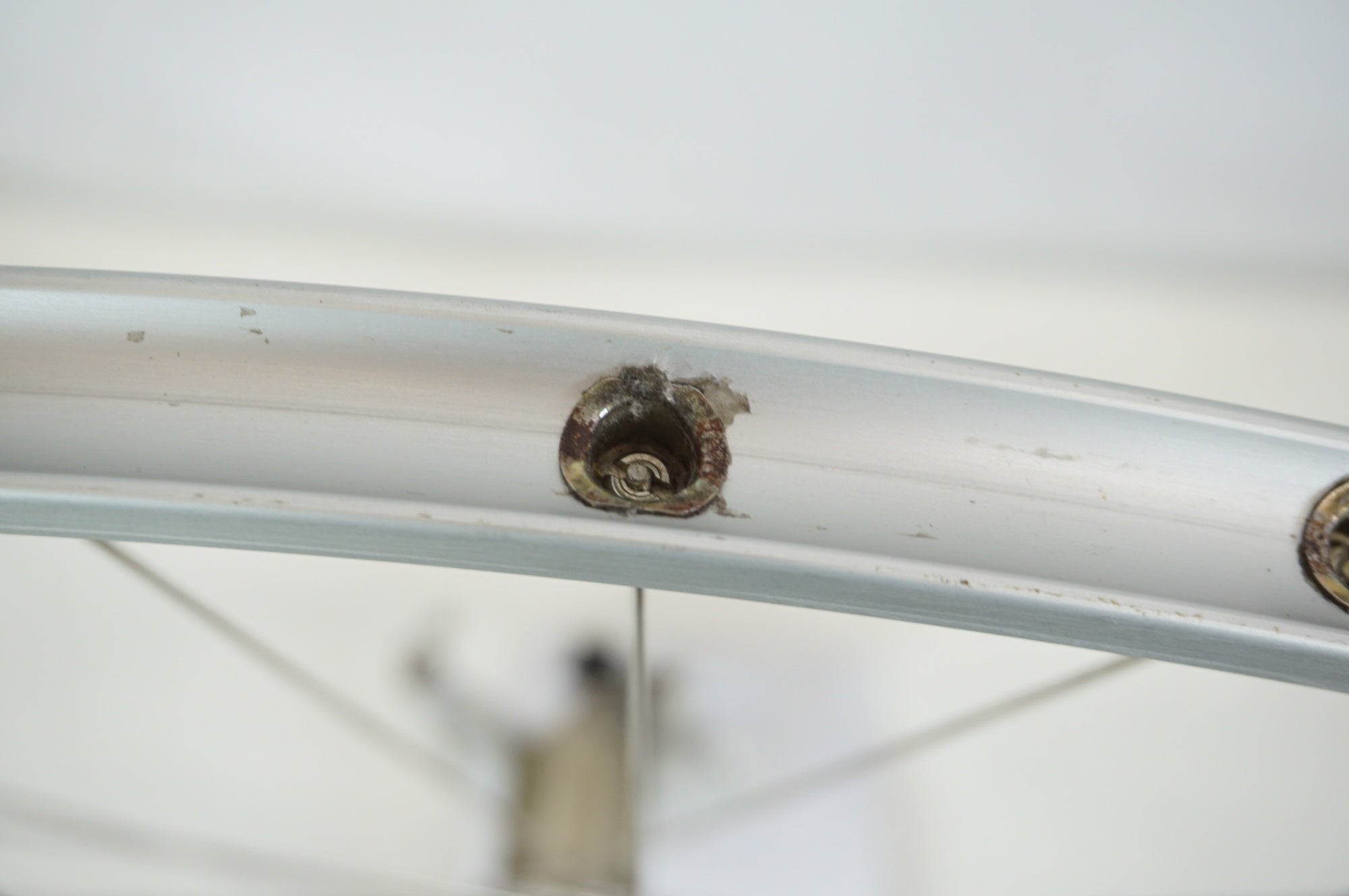 AMBROSIO 「アンブロッシオ」 リム GRAND BOIS ハブ カンパフリー 手組ホイールセット / 宇都宮店