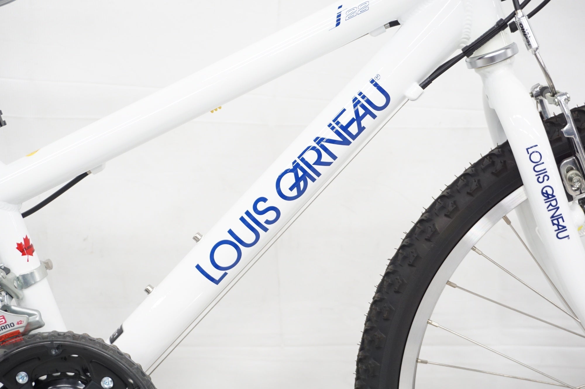 LOUIS GARNEAU 「ルイガノ」 LGS-J22 2013年モデル 22インチ キッズバイク / 阪急塚口店