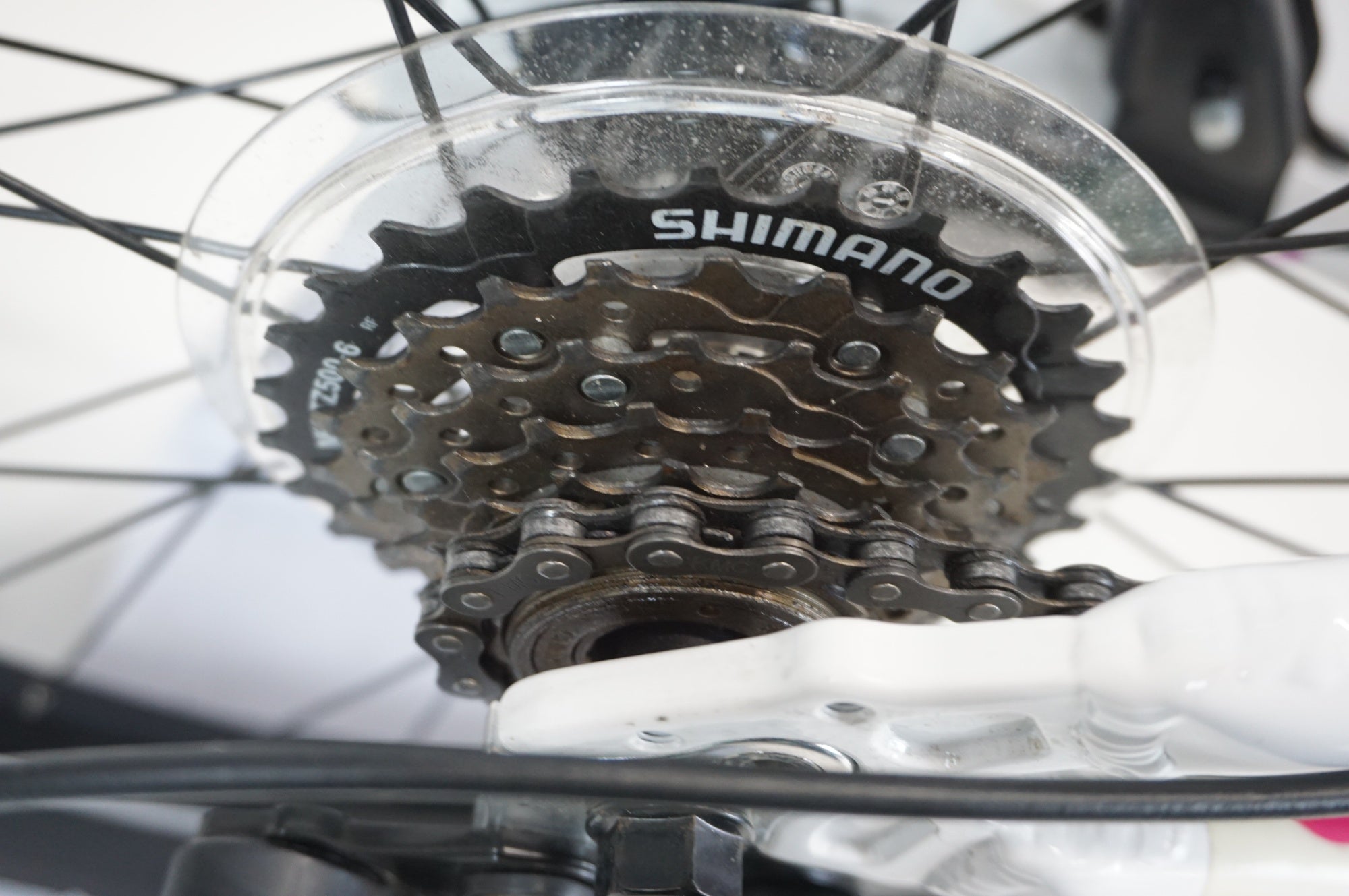 MARIN 「マリン」 DONKY JR 22 2020年モデル キッズバイク / 宇都宮店