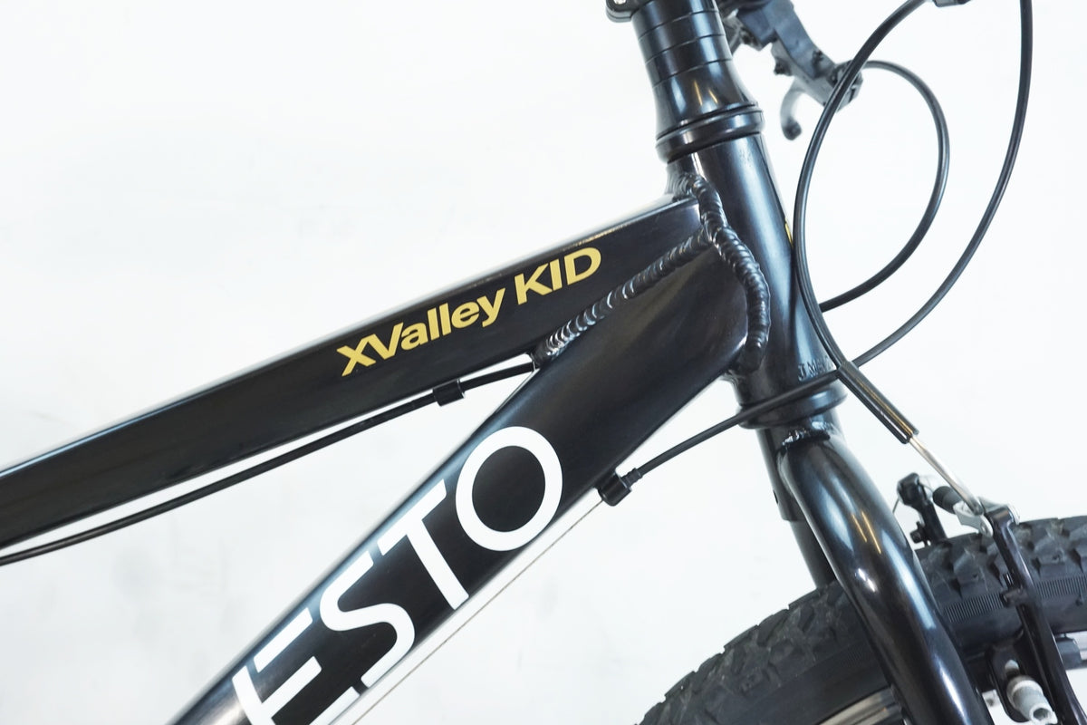 NESTO 「ネスト」 X-VALLEY KID22 2021年モデル キッスバイク / 有明ガーデン店
