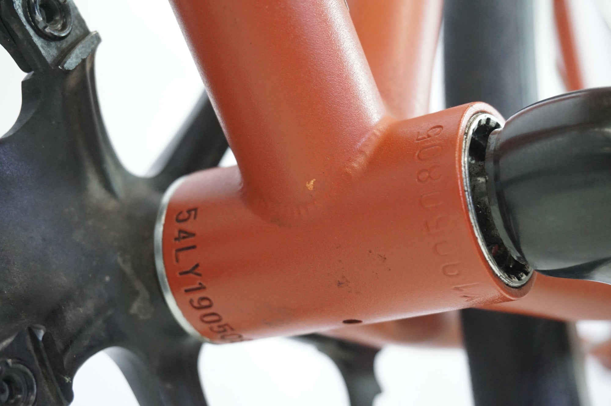 CINELLI 「チネリ」 TUTTO 2020年モデル ピストバイク / 宇都宮店