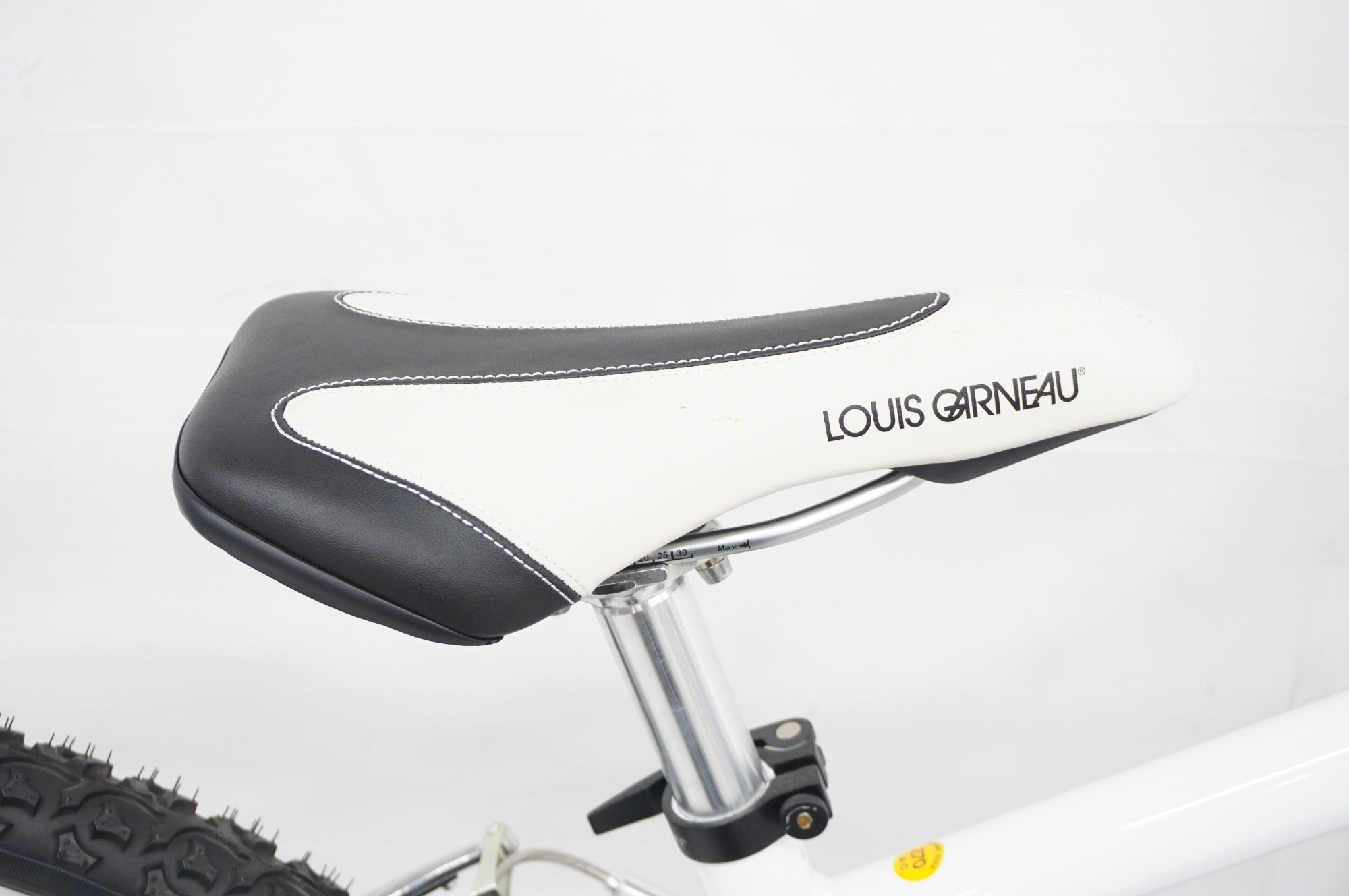 LOUIS GARNEAU 「ルイガノ」 LGS-J22 2013年モデル 22インチ キッズバイク / 阪急塚口店