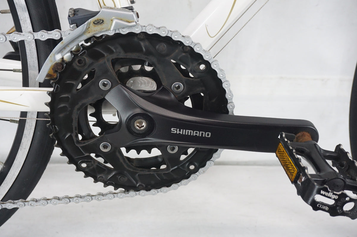 COLNAGO 「コルナゴ」 EPOCA 2019年モデル クロスバイク / 阪急塚口店