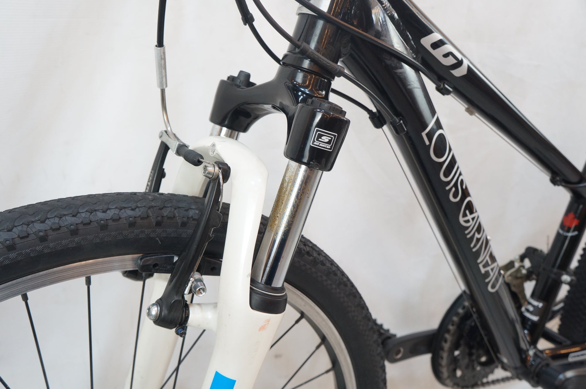 LOUIS GARNEAU 「ルイガノ」 J24 2024年モデル 24インチ キッズバイク