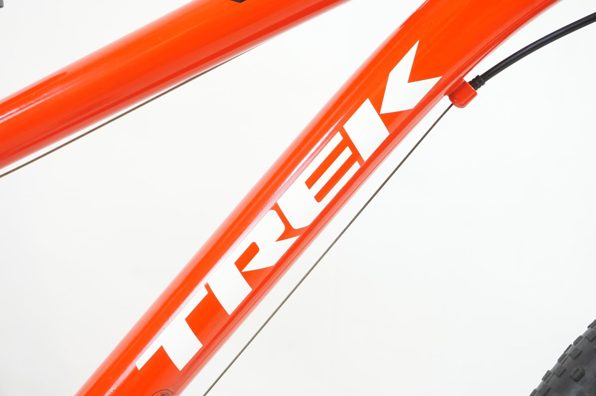 TREK 「トレック」 PRECALIBER 2019年モデル 20インチ  マウンテンバイク / 有明ガーデン店