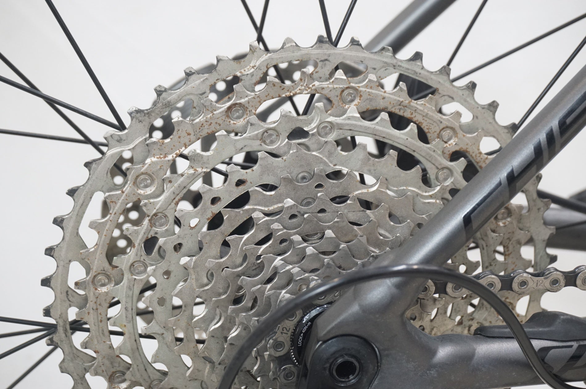 SPECIALIZED 「スペシャライズド」 CHISEL 2021年モデル マウンテンバイク / 福岡店