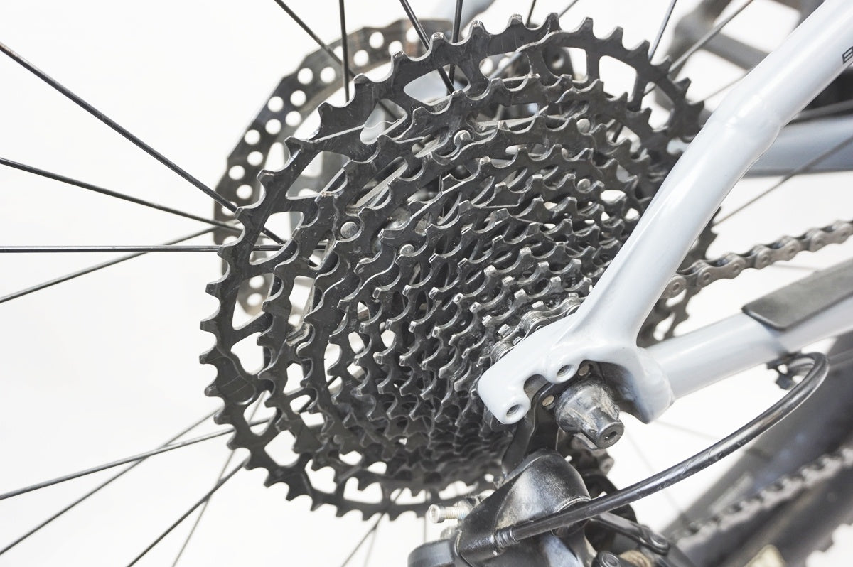 TREK 「トレック」 ROSCOE 8 2019年モデル マウンテンバイク / バイチャリ浦和ベース